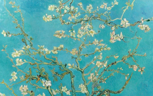 Almond blossom branches against a blue sky in Van Gogh painting.
