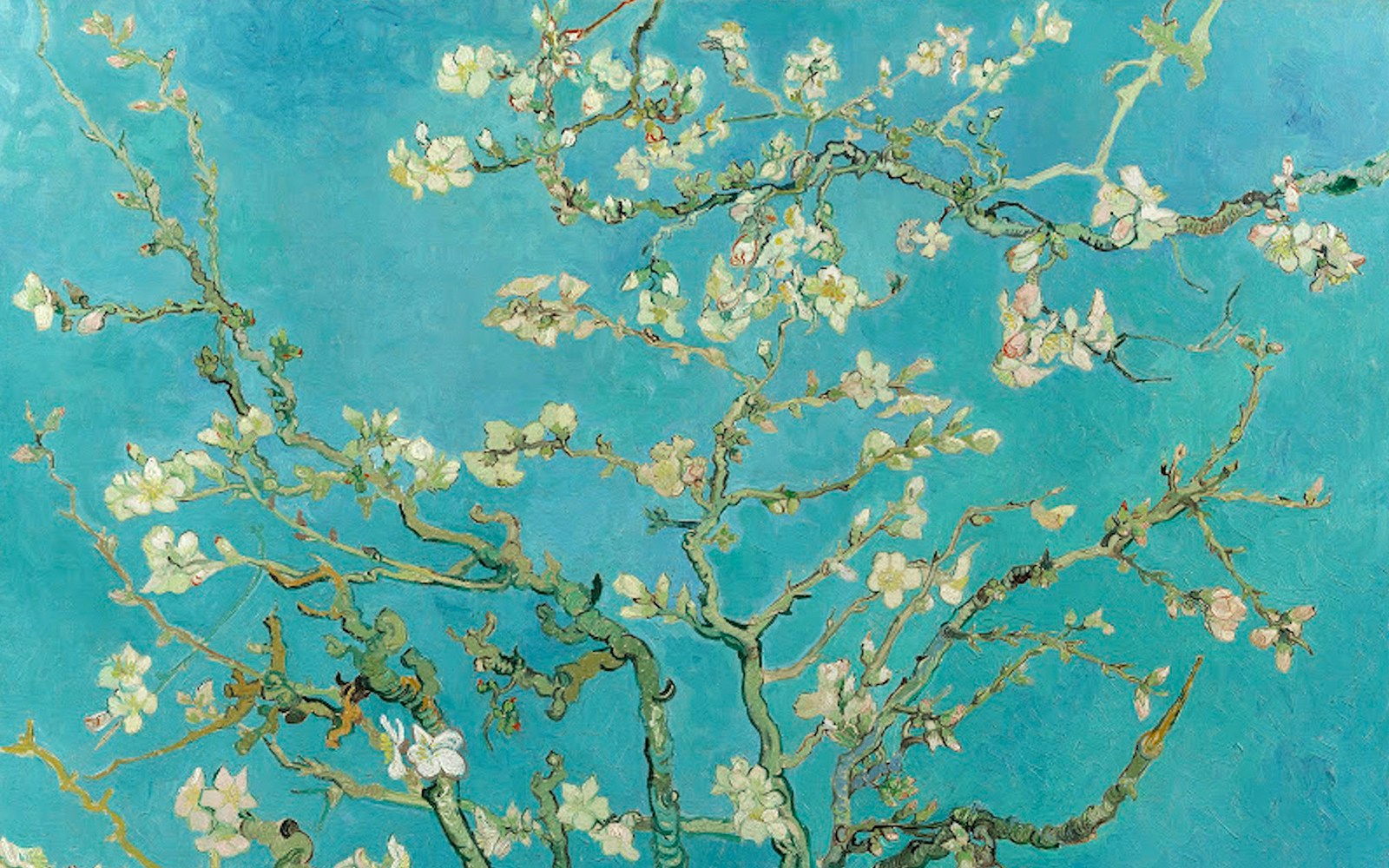 almond blossom