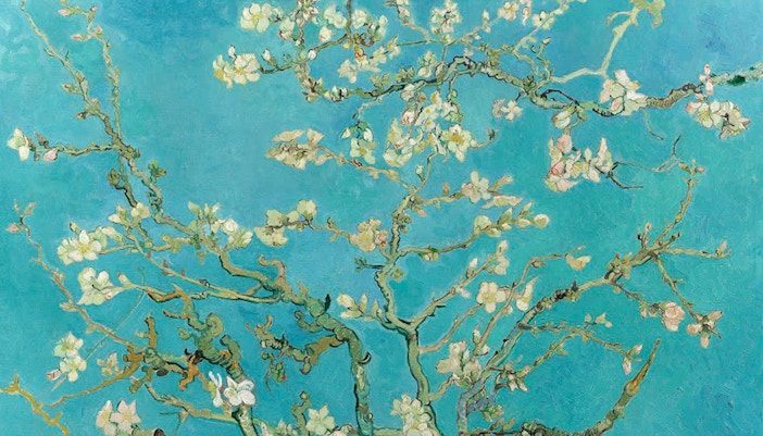 Almond Blossom at the Van Gogh Museum