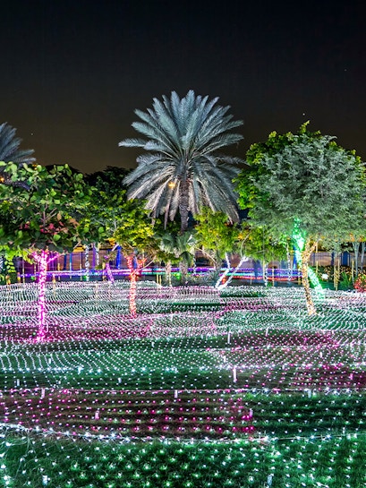 Dubai Garden Glow light displays and illuminated sculptures at night with palm trees.