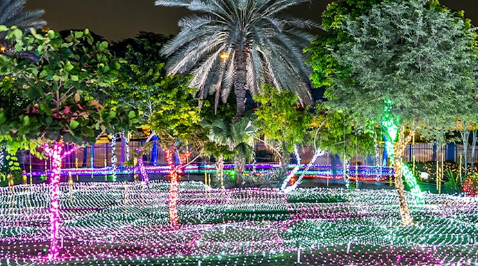 Dubai Garden Glow light displays and illuminated sculptures at night with palm trees.