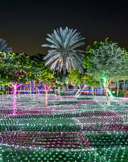 Dubai Garden Glow light displays and illuminated sculptures at night with palm trees.
