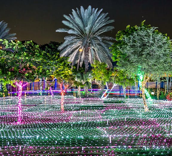Dubai Garden Glow light displays and illuminated sculptures at night with palm trees.