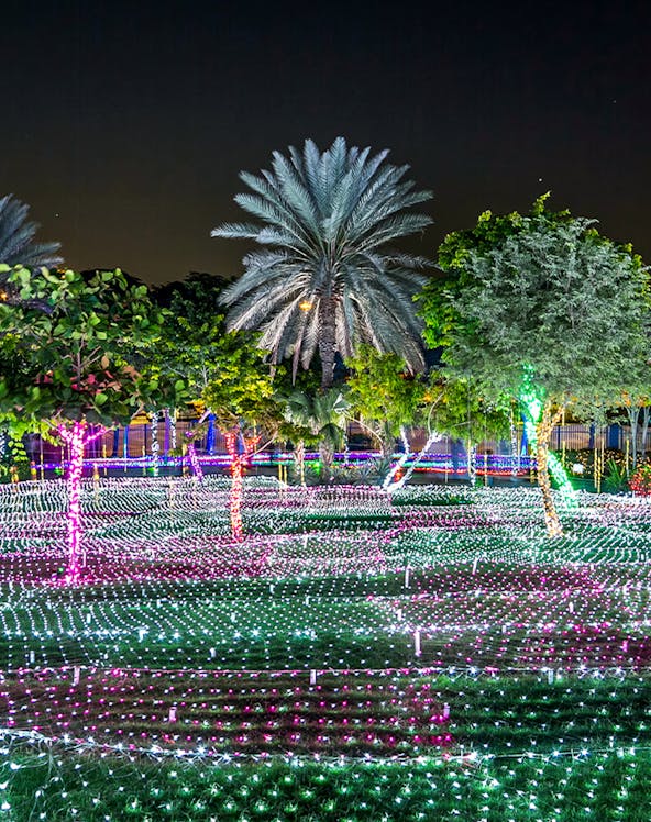 Dubai Garden Glow light displays and illuminated sculptures at night with palm trees.