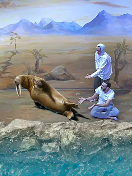 Museo de Arte Ilusión 3D