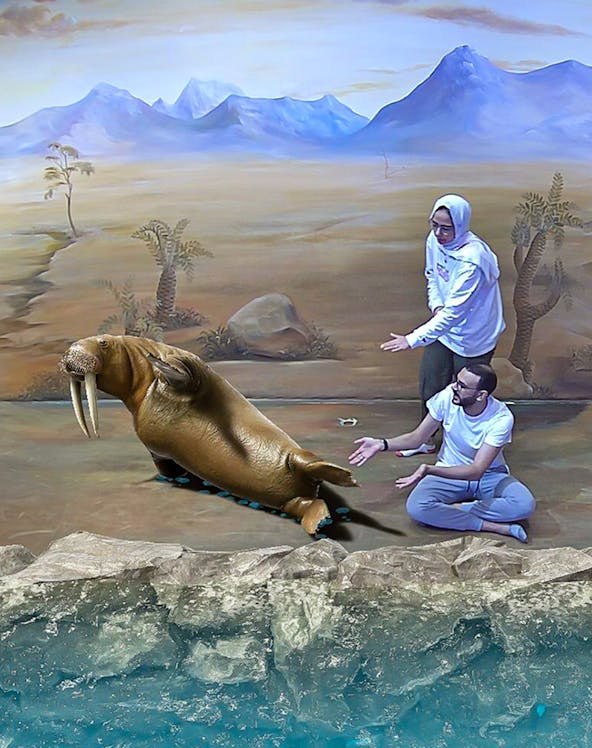 Visitors interacting with a 3D walrus illusion at Illusion 3D Art Museum.