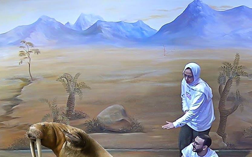 Visitors interacting with a 3D walrus illusion at Illusion 3D Art Museum.