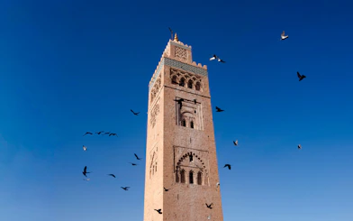 Koutoubia Minaret in Marrakech with birds flying against a clear blue sky.