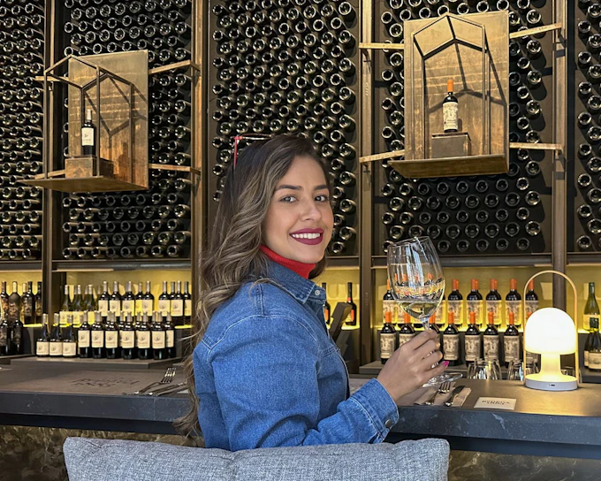 Santiago: Official Transfer to Concha y Toro Winery