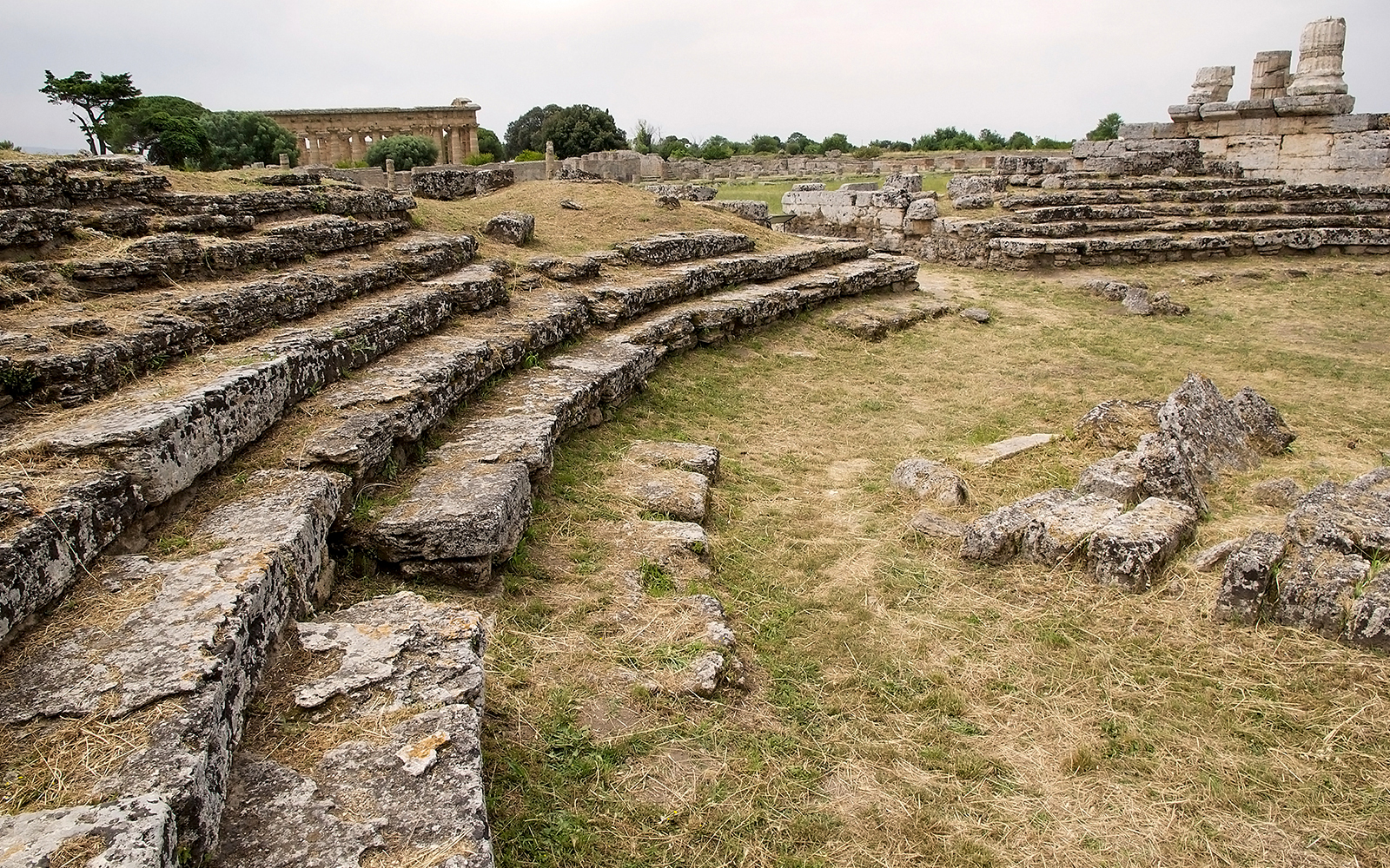 Paestum - Roman Forum