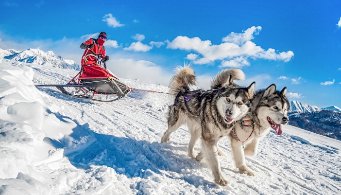 Huskies pulling sledge