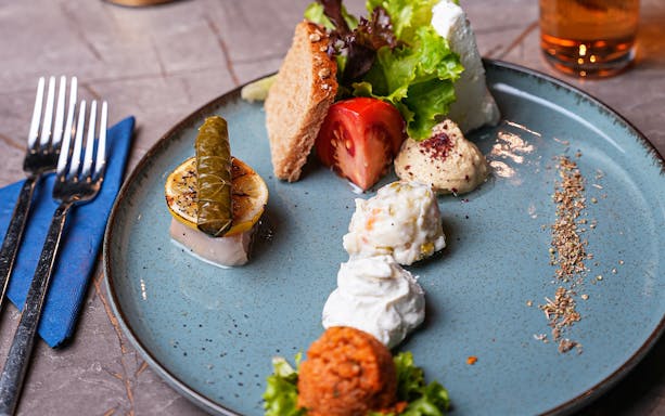 Turkish meze platter with stuffed grape leaf, hummus, and fresh vegetables on Bosphorus dinner cruise.