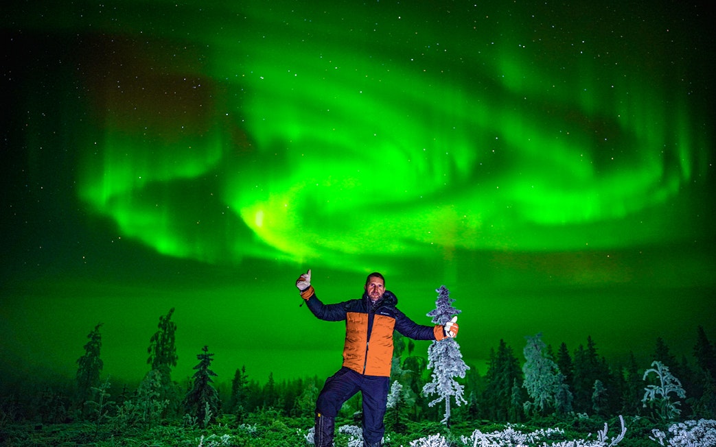 Northern lights over snowy forest in Rovaniemi during guided tour.