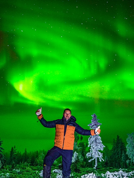 Northern lights over snowy forest in Rovaniemi during guided tour.