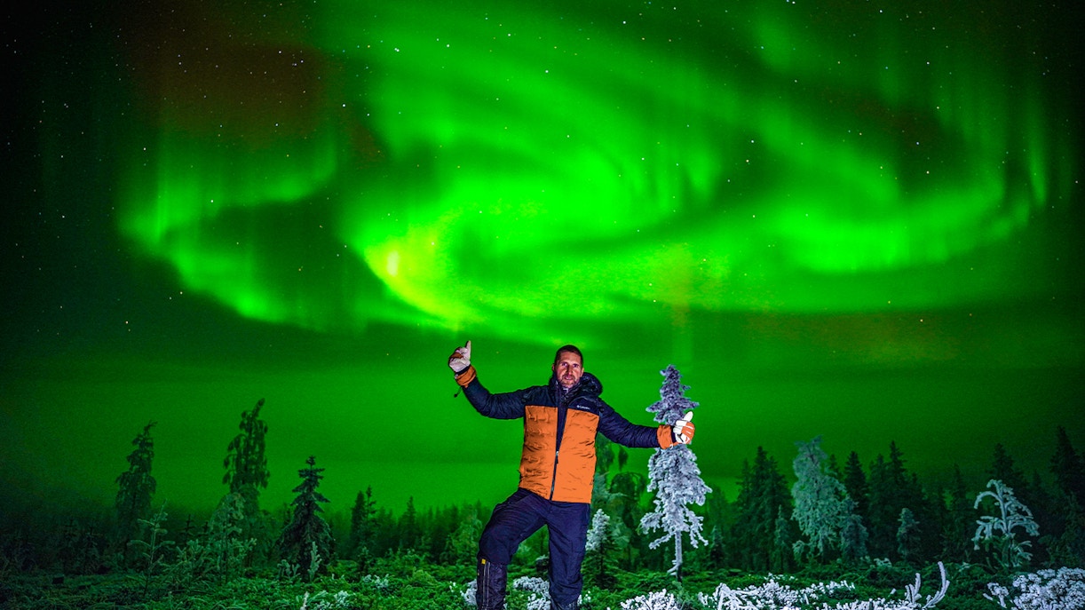 Northern lights over snowy forest in Rovaniemi during guided tour.