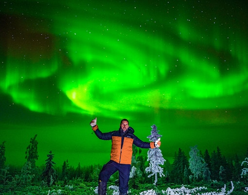 Northern lights over snowy forest in Rovaniemi during guided tour.