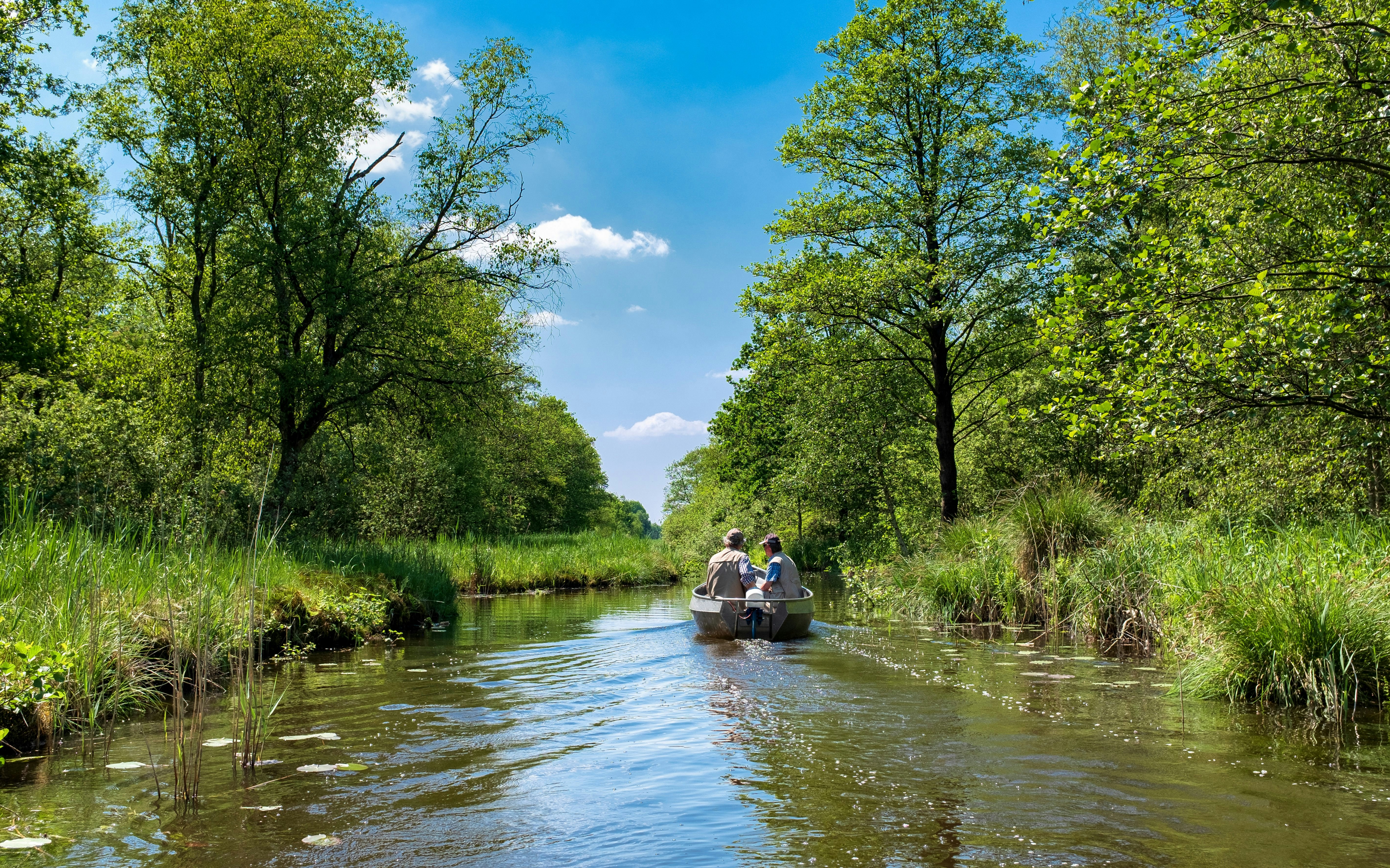 Boat tour through Nature Reserve Weerribben-de Wieden, Overijssel, The Netherlands.