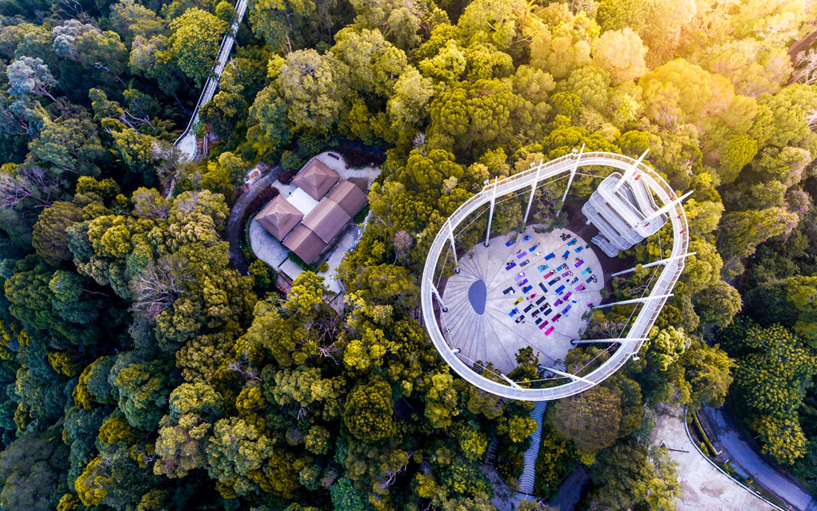 Tourists exploring the lush greenery and diverse wildlife at The Habitat Penang Hill, Malaysia