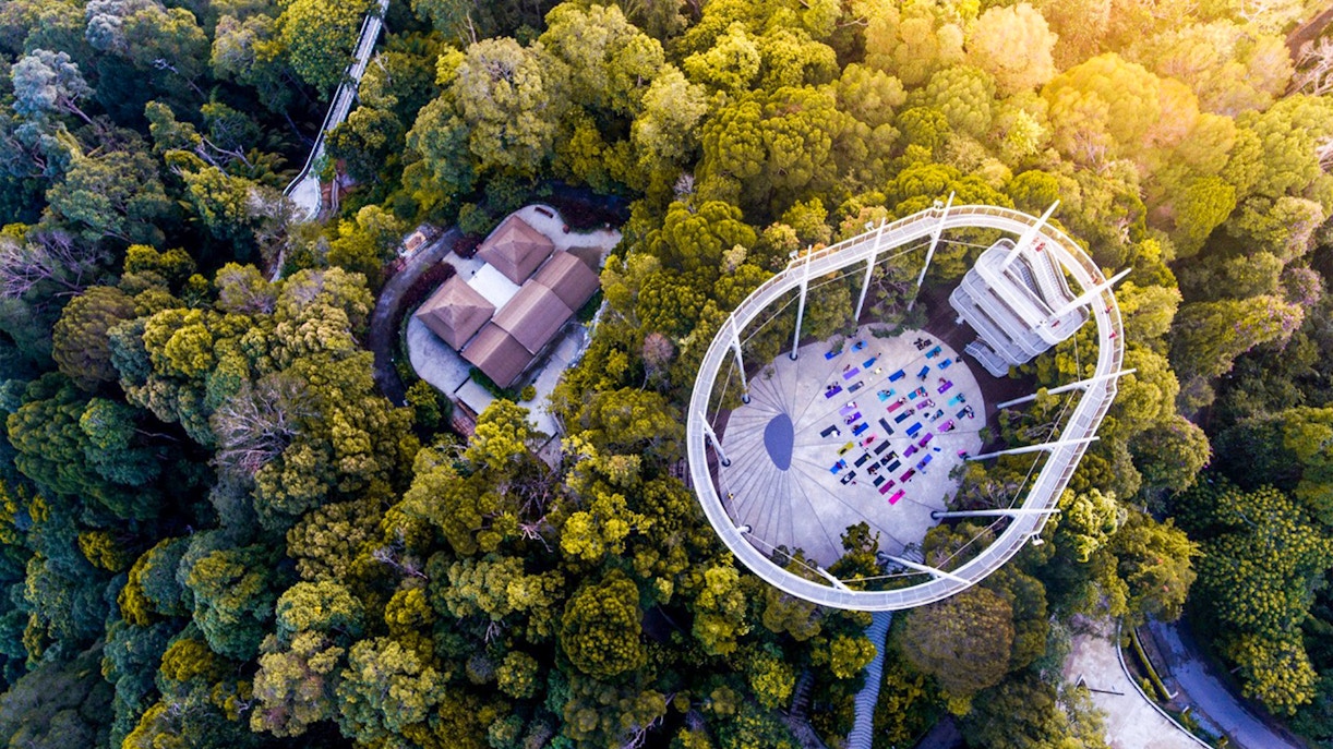 Tourists exploring the lush greenery and diverse wildlife at The Habitat Penang Hill, Malaysia