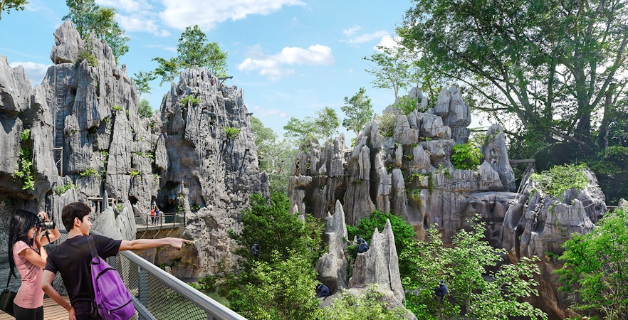 Rainforest Wild ASIA