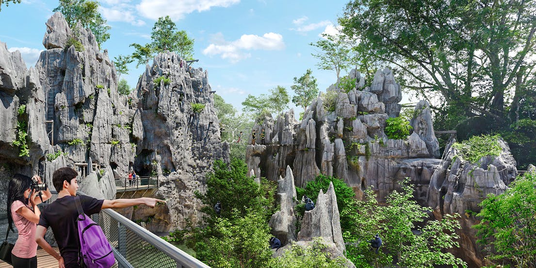 Rainforest Wild Asia