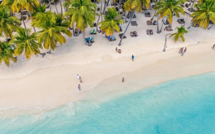 Aerial view of Saona Island beach with palm trees and tourists enjoying the shore.