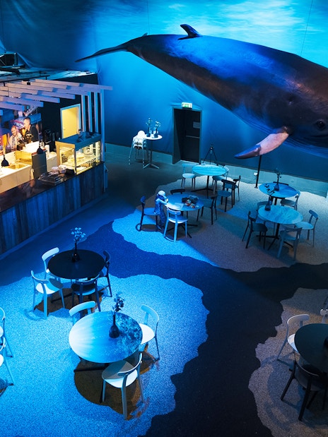 Whales Museum Iceland interior with whale model and cafe tables.