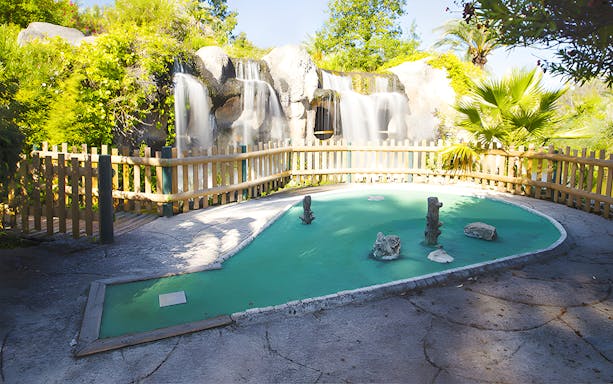 Mini-golf course with waterfall and wooden fence in a lush garden setting.