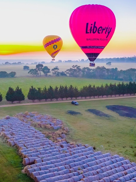 Hot air balloons over fields at sunrise, Liberty Balloon Flights, Geelong and Bellarine, Australia.