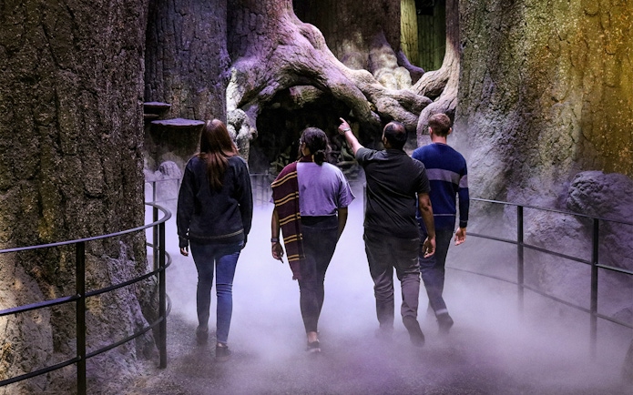 Visitors walking through the Forbidden Forest at Warner Bros. Harry Potter Studio Tour.