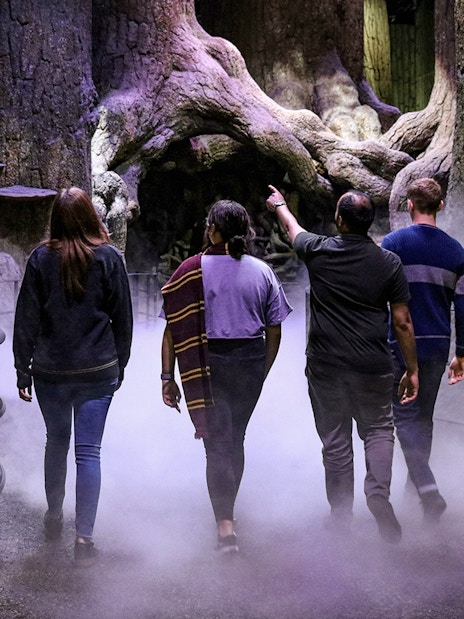 Visitors walking through the Forbidden Forest at Warner Bros. Harry Potter Studio Tour.