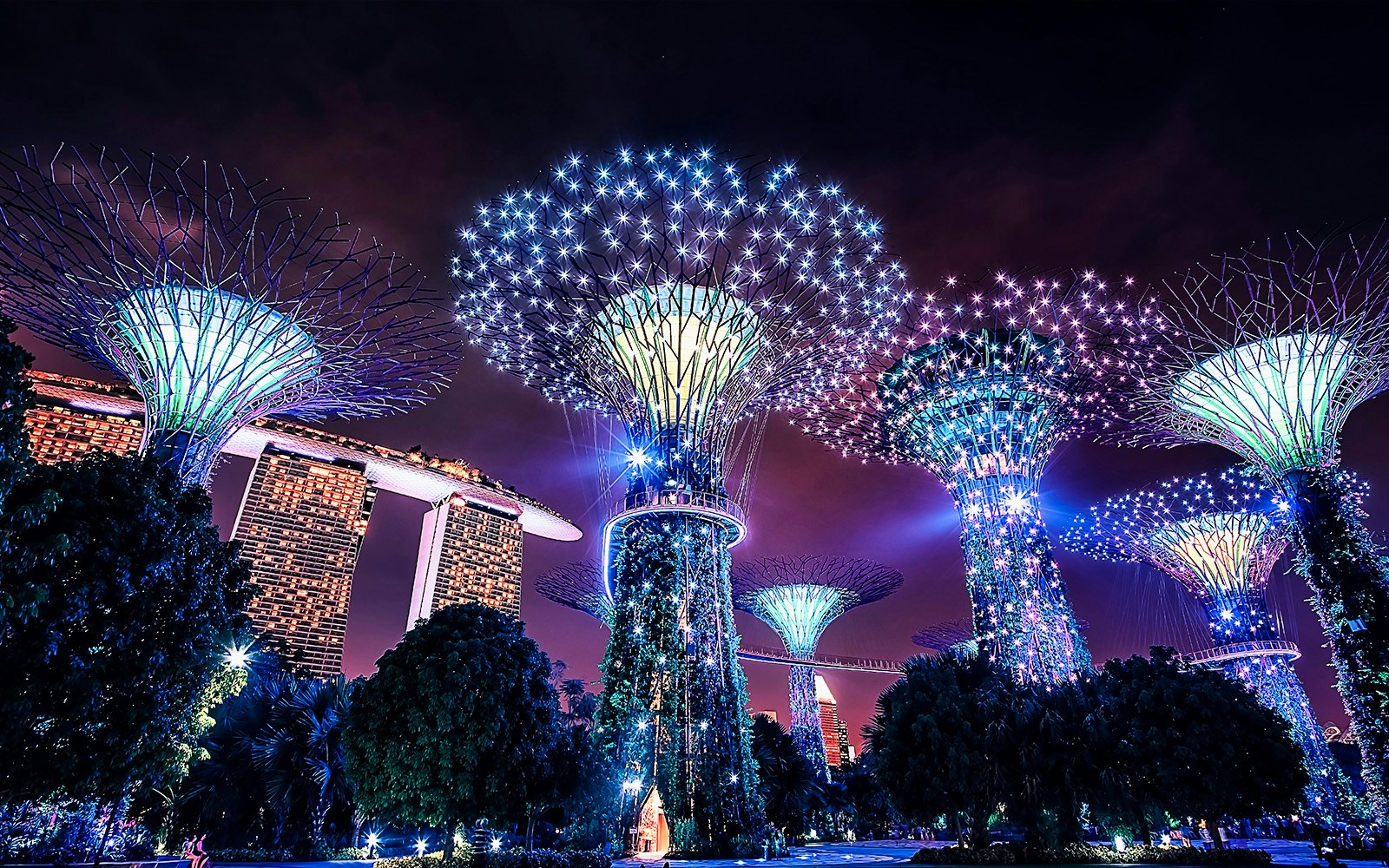 Gardens by the Bay light show