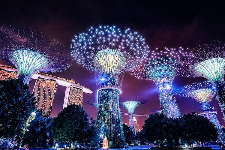 Garden rhapsody light show