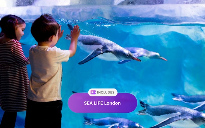 Children watching penguins swim at SEA LIFE London Aquarium.