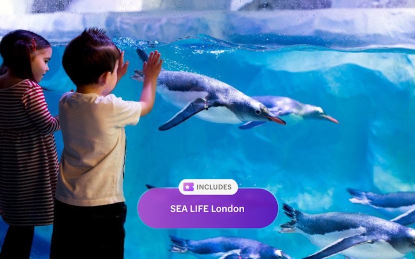 Children watching penguins swim at SEA LIFE London Aquarium.