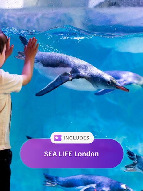 Children watching penguins swim at SEA LIFE London Aquarium.