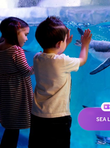 Children watching penguins swim at SEA LIFE London Aquarium.