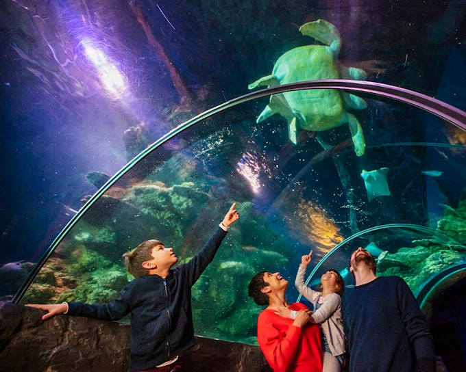 SEA LIFE London Aquarium: Anytime Entry Tickets