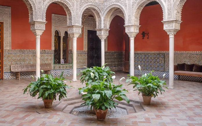 Marble columns and potted plants in the courtyard of Casa de Salinas, Seville.