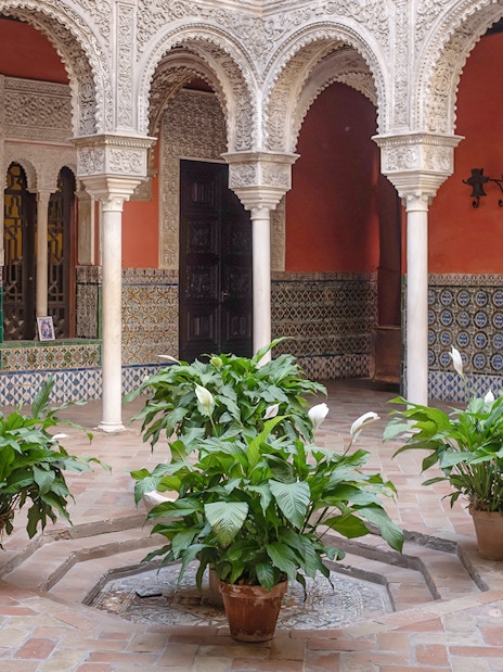 Marble columns and potted plants in the courtyard of Casa de Salinas, Seville.