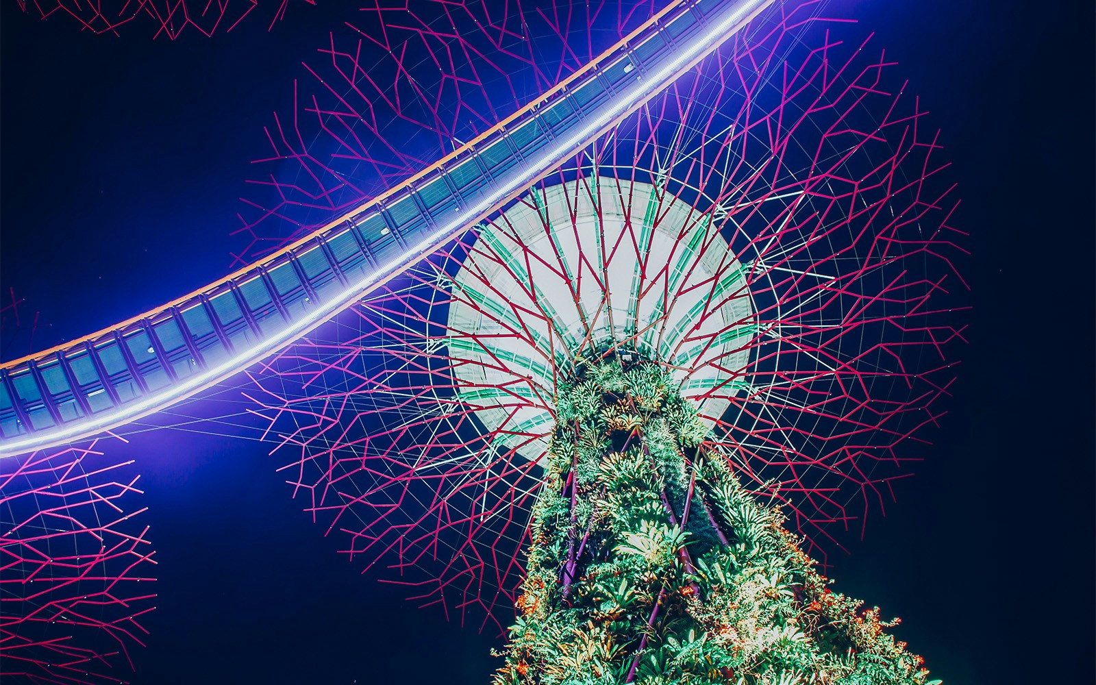 Gardens by the Bay light show