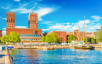 Oslo Old Town Private Walking Tour With Oslofjord Cruise Tickets