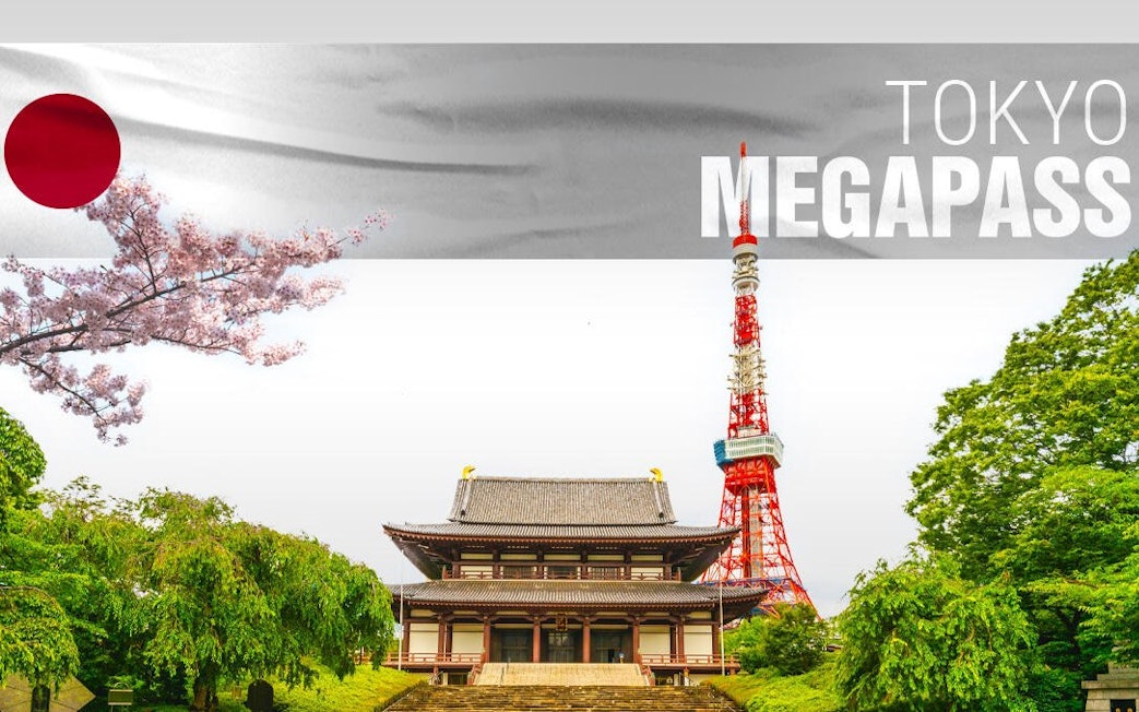 Tokyo Tower and Zojoji Temple with cherry blossoms, Tokyo MegaPass.