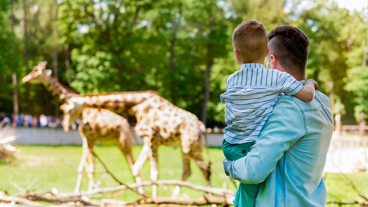 visitor at Barcelona zoo