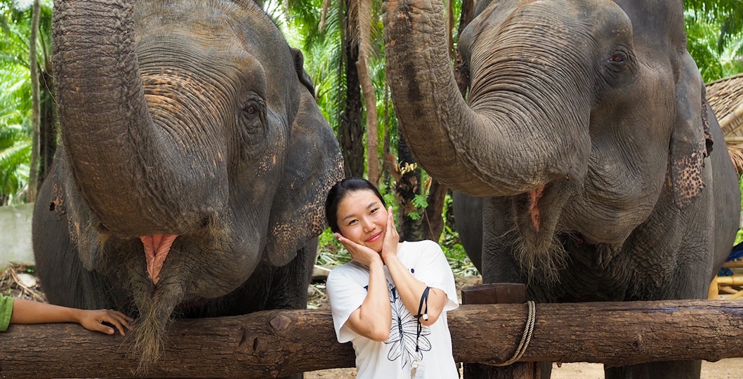 Krabi Elephant Shelter tickets