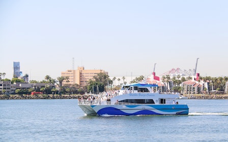 Long Beach Whale Watching and Dolphin Tour