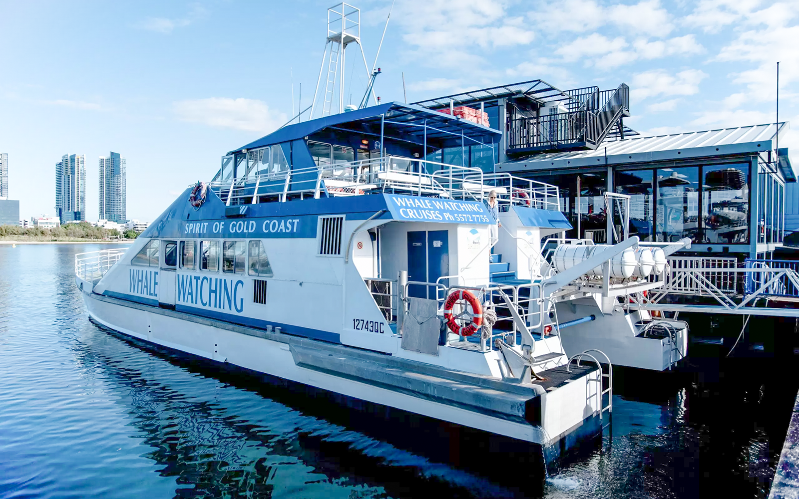 Whale watching boat Spirit of Gold Coast docked at marina, skyscrapers in background.