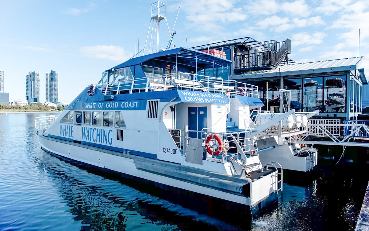 Whale watching boat Spirit of Gold Coast docked at marina, skyscrapers in background.