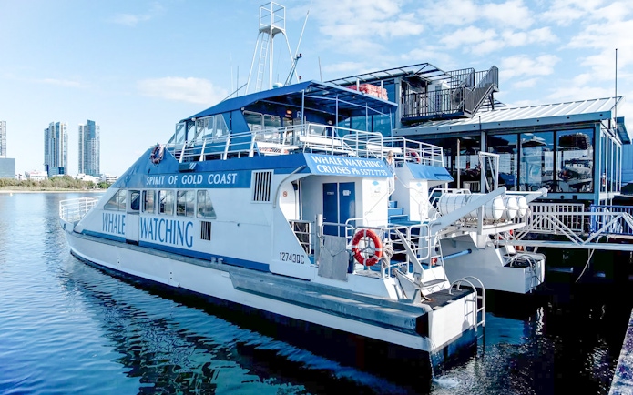 Whale watching boat Spirit of Gold Coast docked at marina, skyscrapers in background.