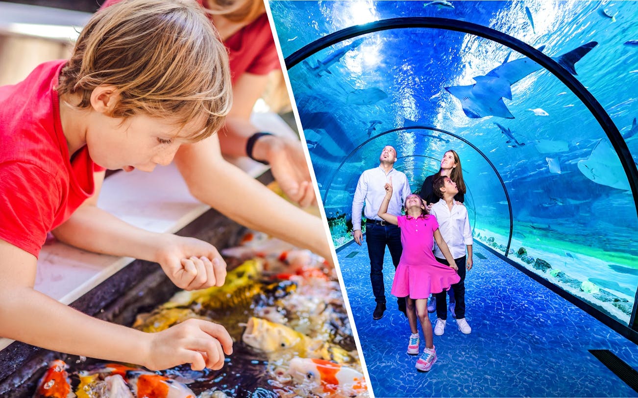 Child interacting with koi fish and family walking through an aquarium tunnel, The Butterfly Garden.